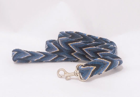 blue leash