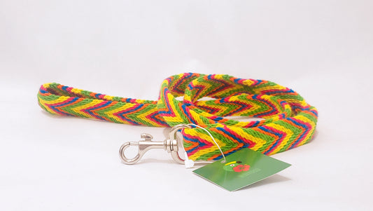 Multicolor Handmade Wayuu Pet Leash - Wuitusu